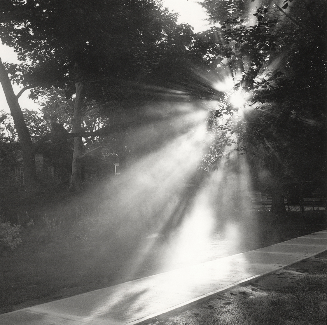 Morning sun through dust, gelatin silver print
